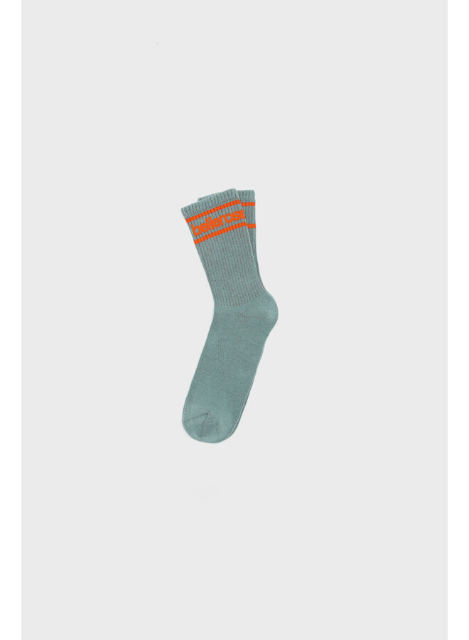 Bellerose | vigil | sea pine