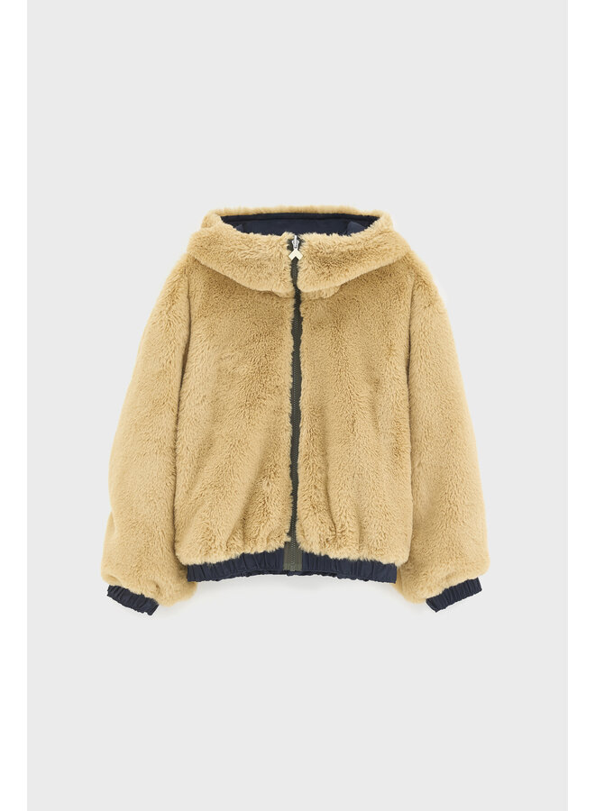 Bellerose | hasty | parker