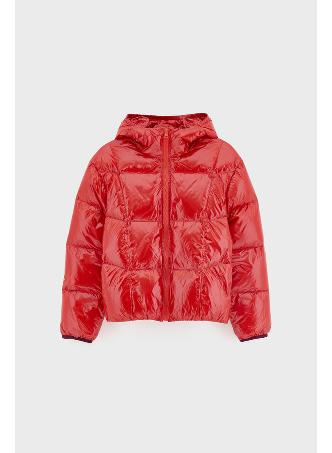 Bellerose | habu | pavot