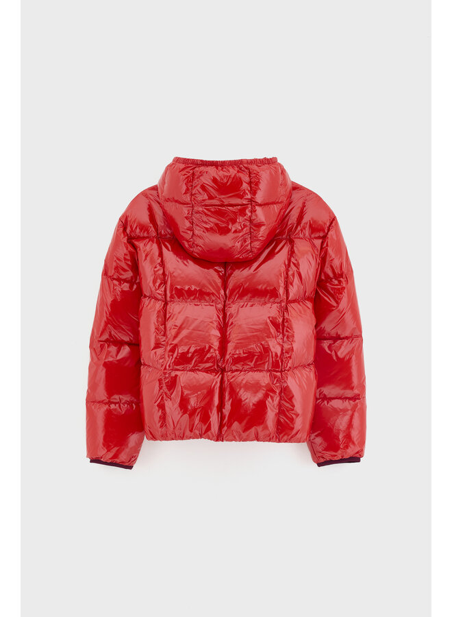 Bellerose | habu | pavot