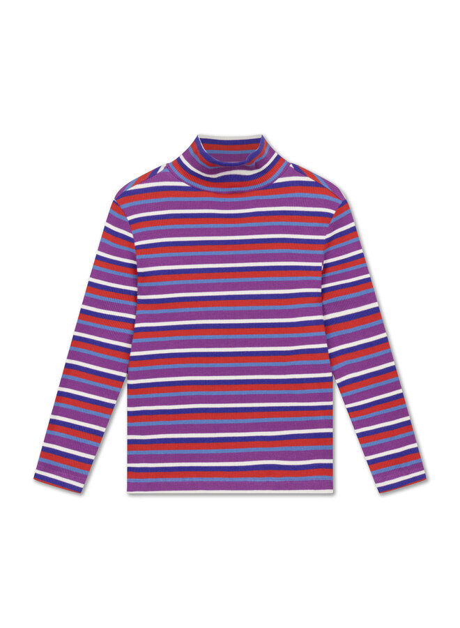 Repose | turtle neck | multi color stripe