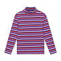 Repose | turtle neck | multi color stripe