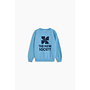 The New Society | tns logo sweatshirt cyaneus