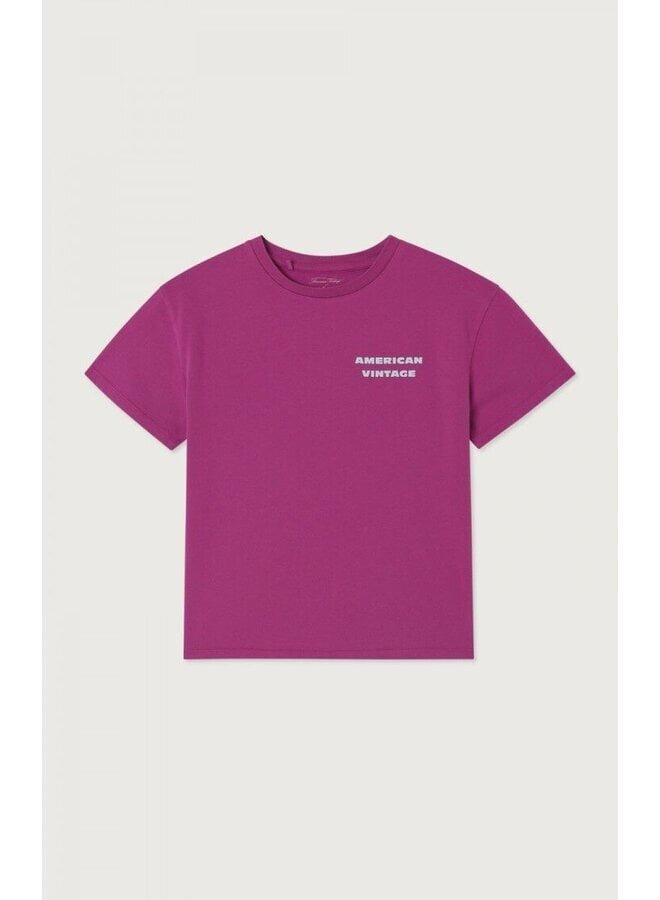 American Vintage | fizvalley t-shirt | jus the raisin vintage