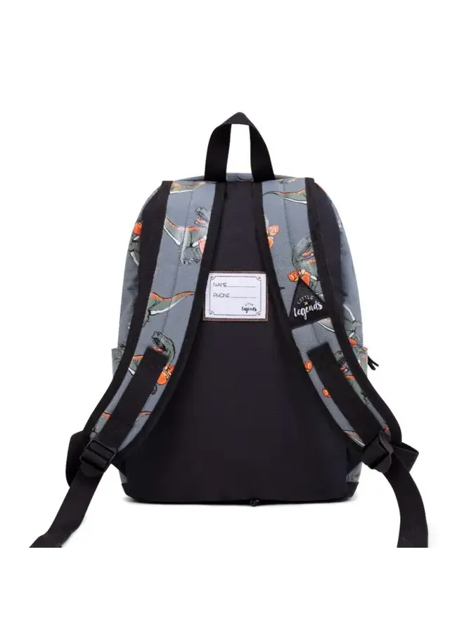 Little Legends | backpack l | dino boxing