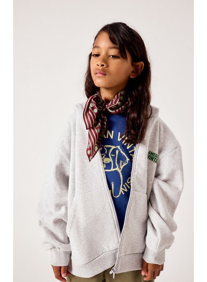 American Vintage | baptown sweater capuchon | gris chine