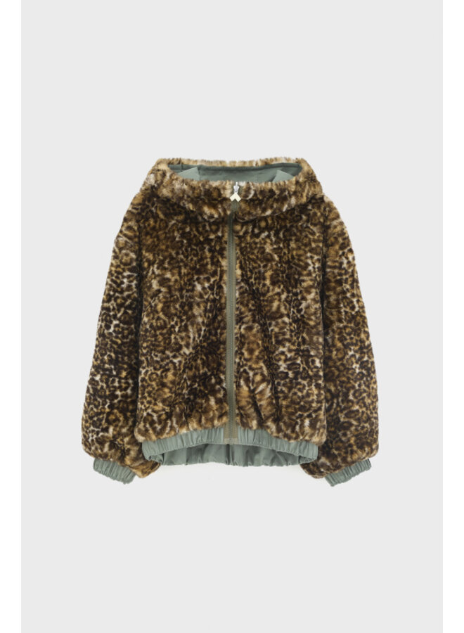 Bellerose | hasty | oxyd