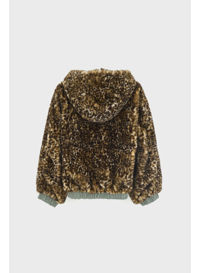 Bellerose | hasty | oxyd
