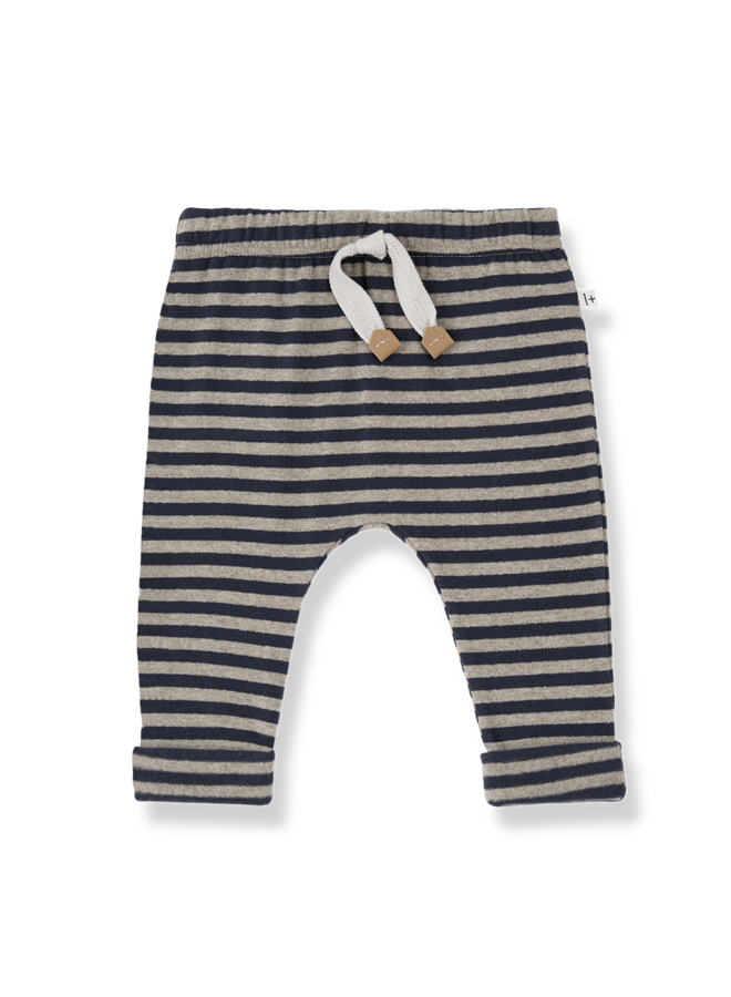 1+ in the family  | urbino | blue
