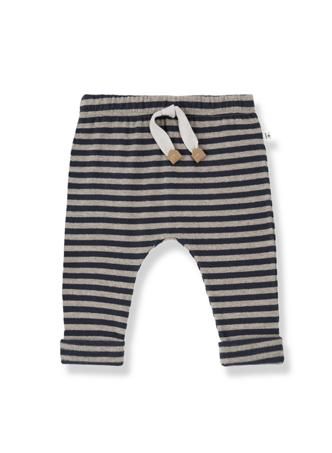 1+ in the family  | urbino | blue