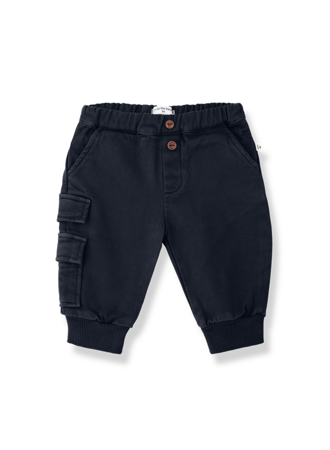 1+ in the family | whistler | blue