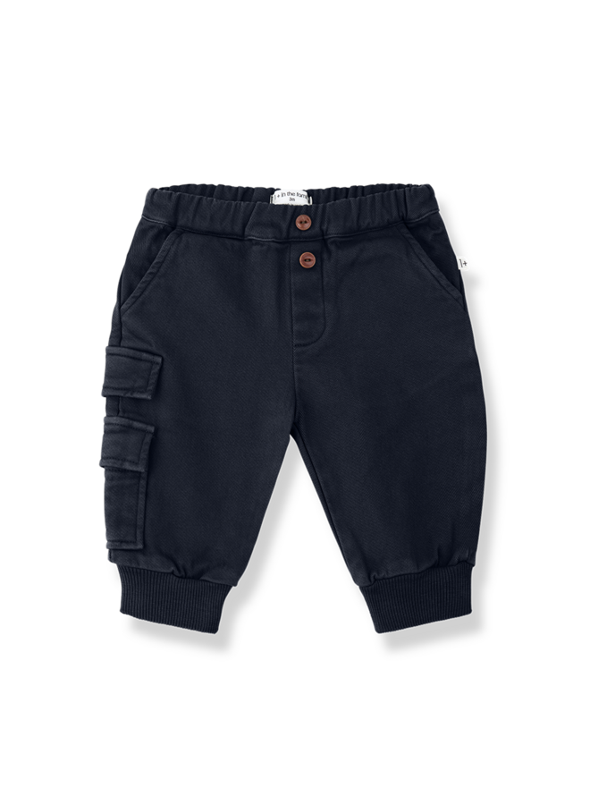 1+ in the family  | whistler | blue