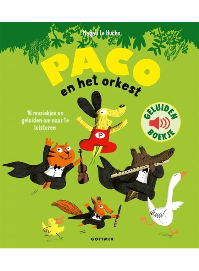 Boeken | paco en het orkest