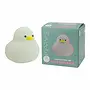 Mary's | led lamp | duck