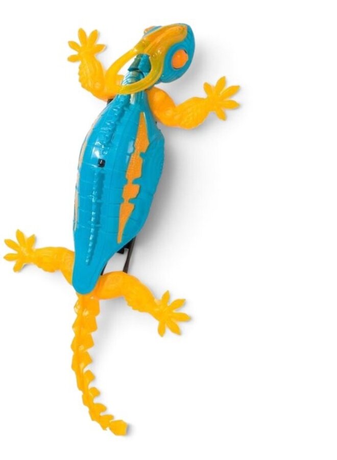 Hexbug | gecko RC | kameleon