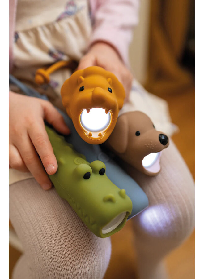 Rabbit & friends | silicone flashlight | lion