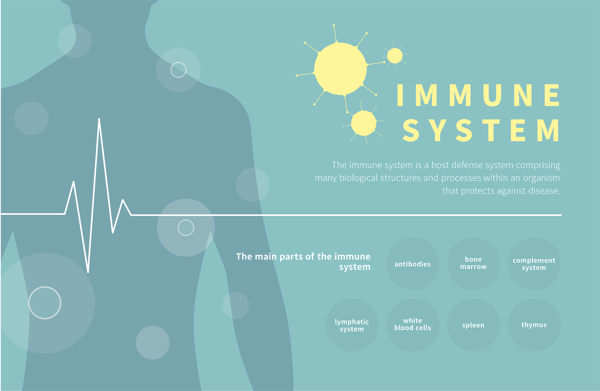 immuunsysteem