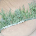 Verenband saliegroen marabou