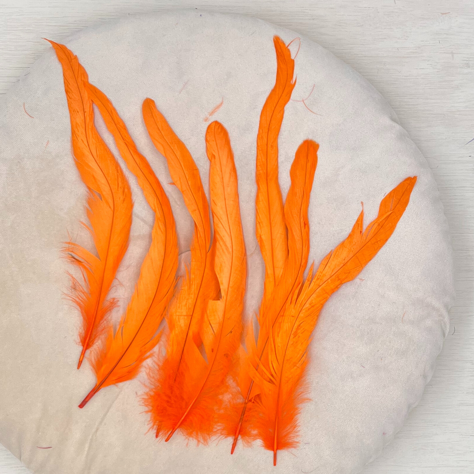 Veren oranje lang 10 stuks
