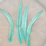 Veren mint groen lang
