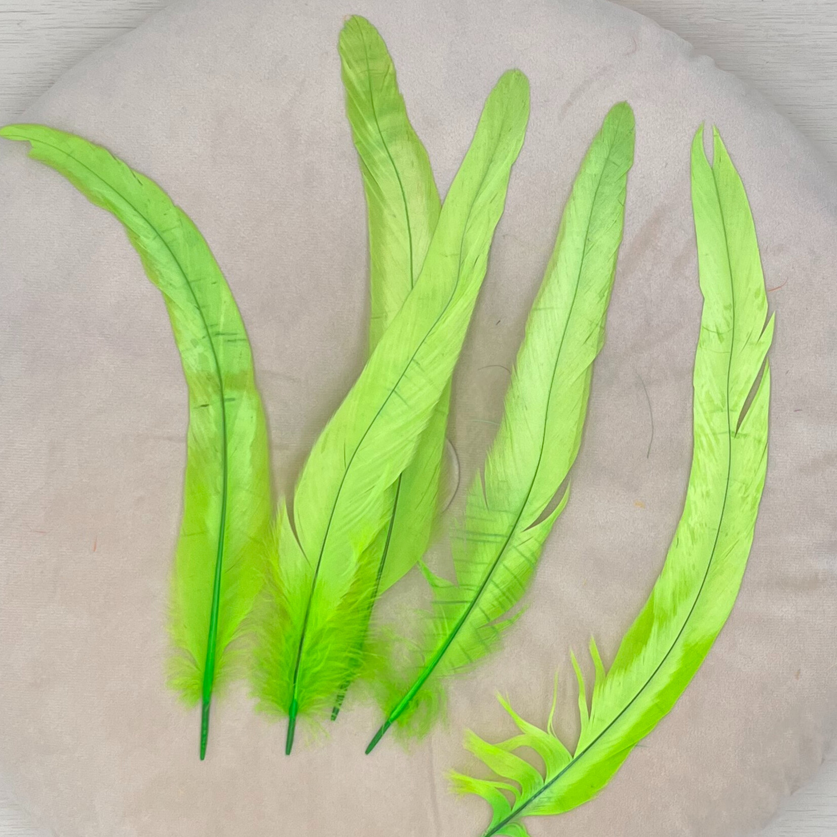 Veren licht groen 10 stuks