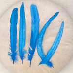 Veren petrol blauw lang