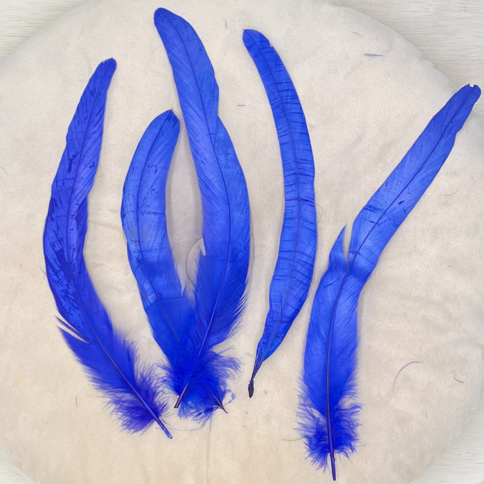 Veren kobalt blauw 10 stuks