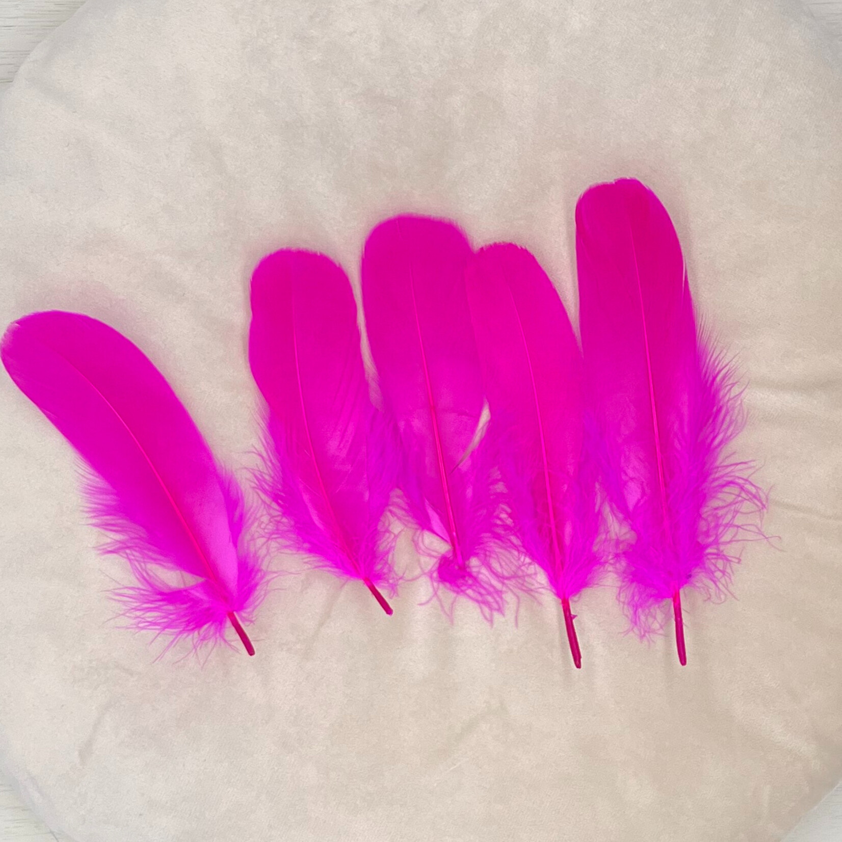 Veren fuchsia 10 stuks