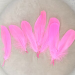 Veren suikerspin roze