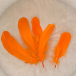 Veren oranje