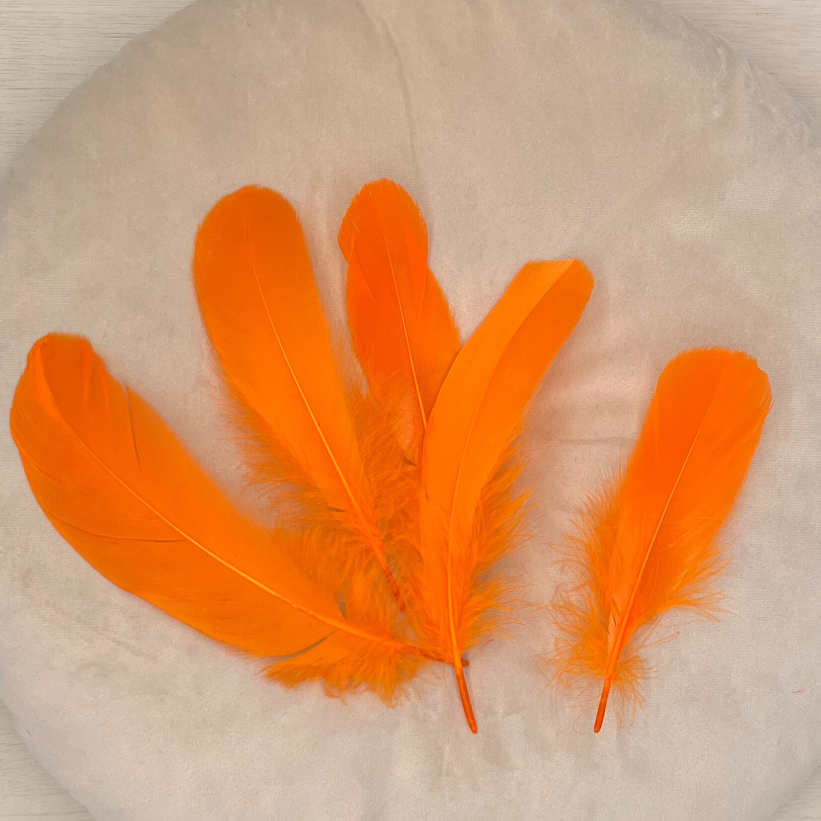 Veren oranje 10 stuks