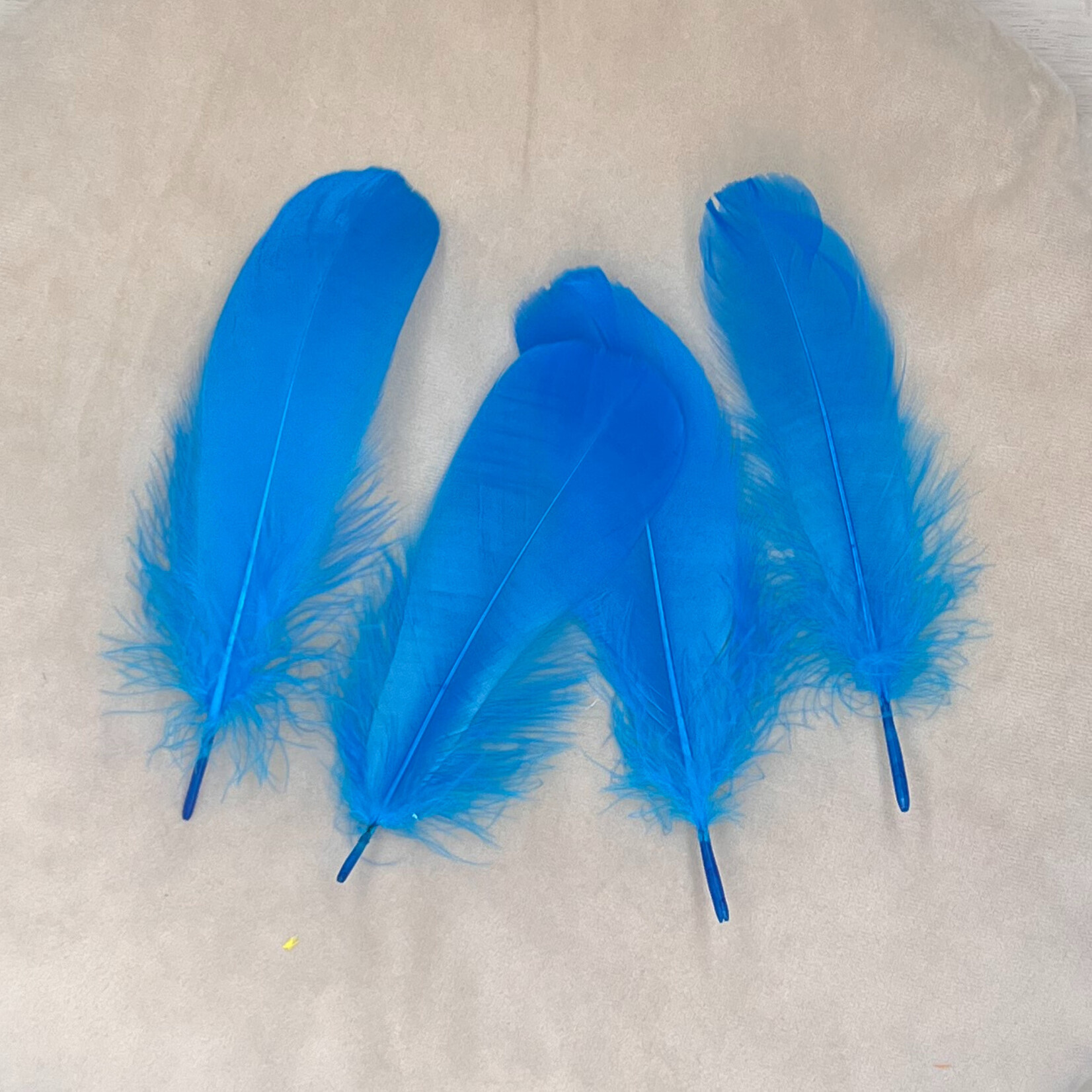 Veren blauw 10 stuks