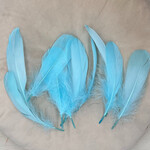 Veren skye blue