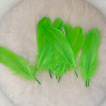 Veren licht groen