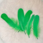 Veren gras groen