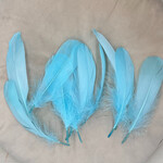 Veren licht blauw
