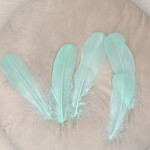 Veren mint groen