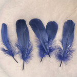 Veren marineblauw
