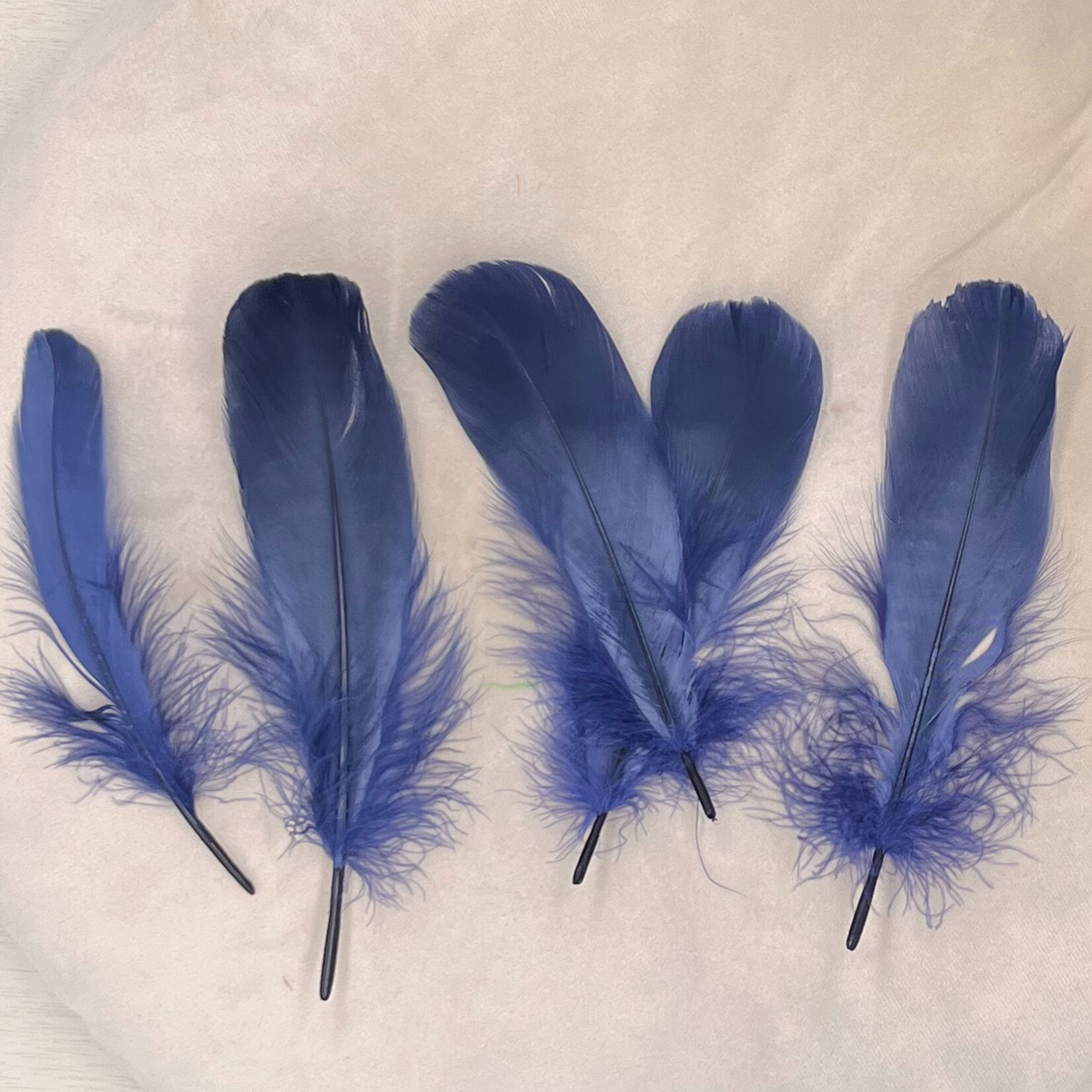 Veren marineblauw 10 stuks