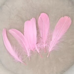 Veren licht roze