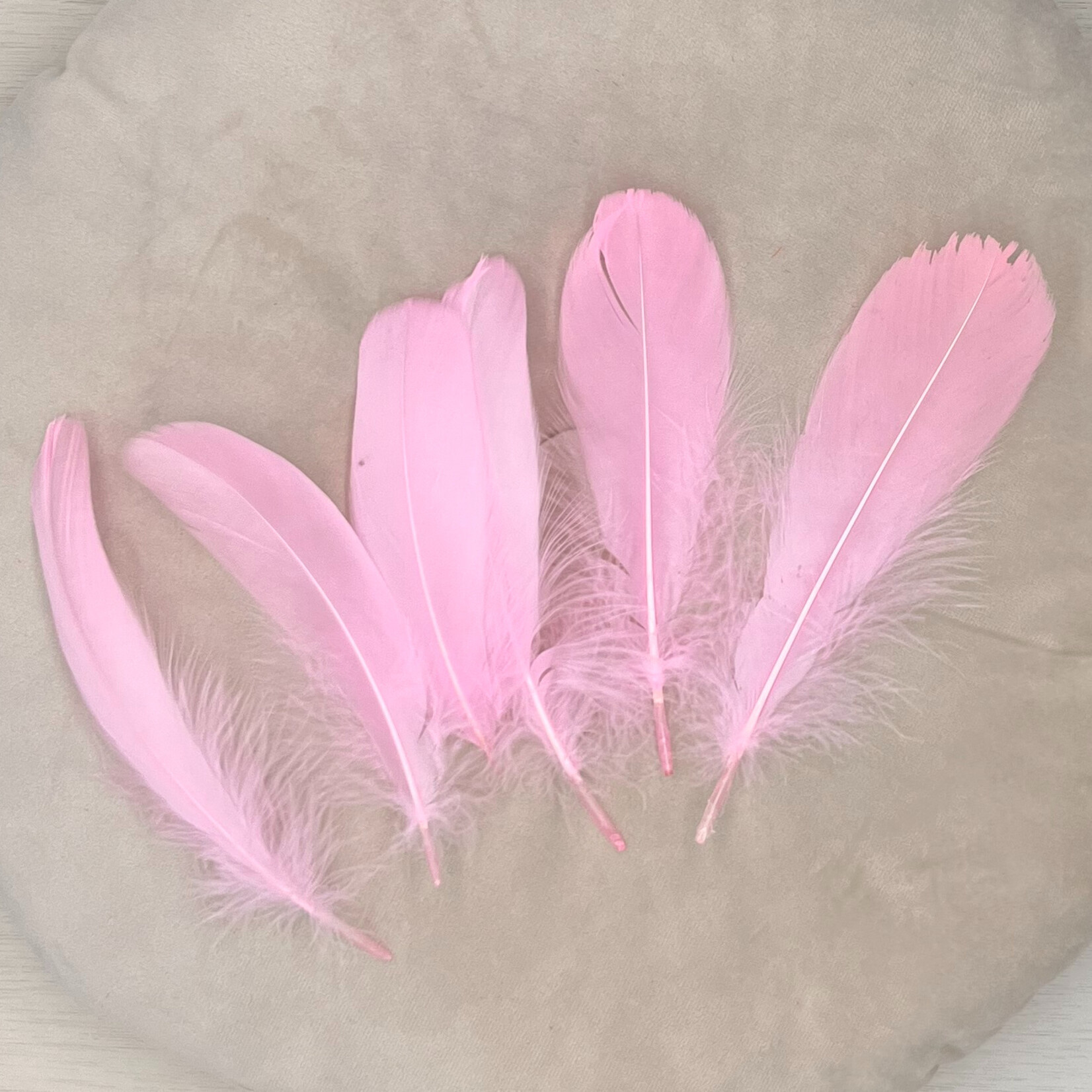 Veren licht roze 10 stuks