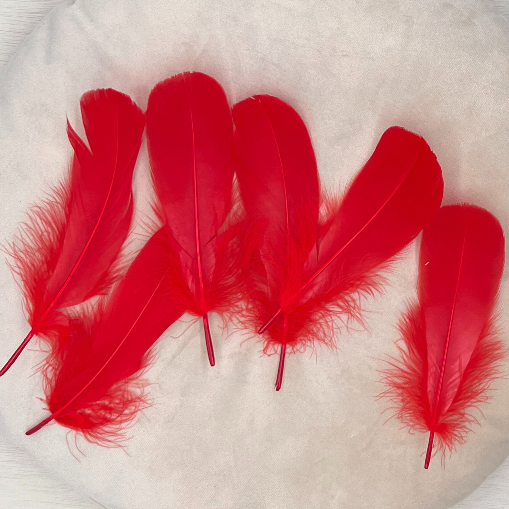 Veren rood 10 stuks
