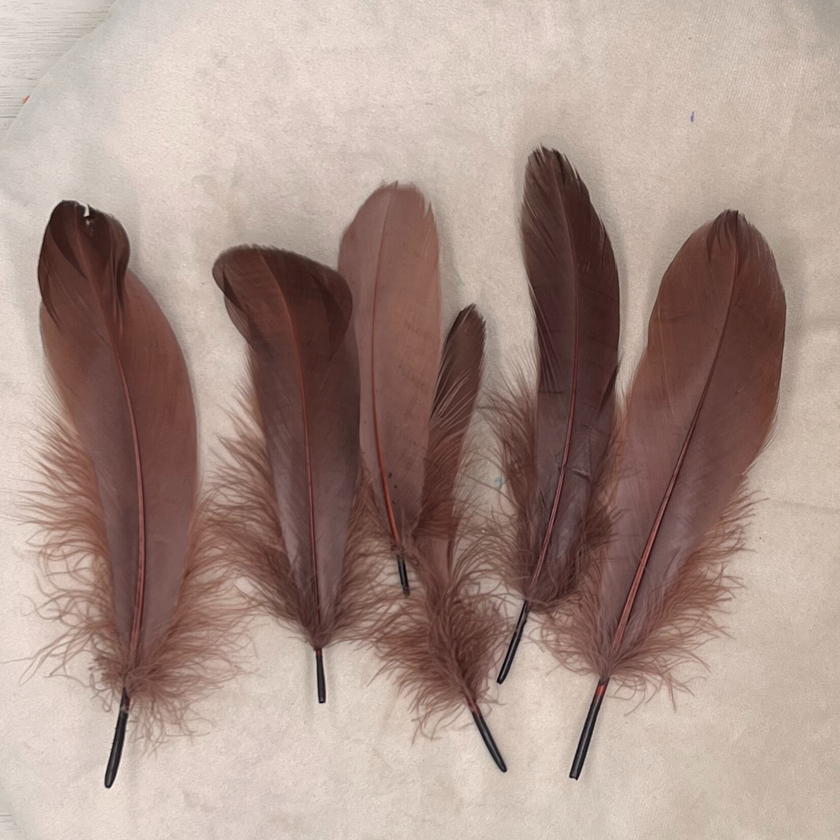 Veren bruin 10 stuks