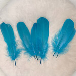 Veren petrol blauw