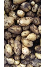 't Düvelshöfke Aardappels Nicola (nieuwe oogst) per kilo