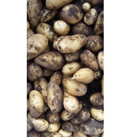 't Düvelshöfke Aardappels Annabelle per kilo
