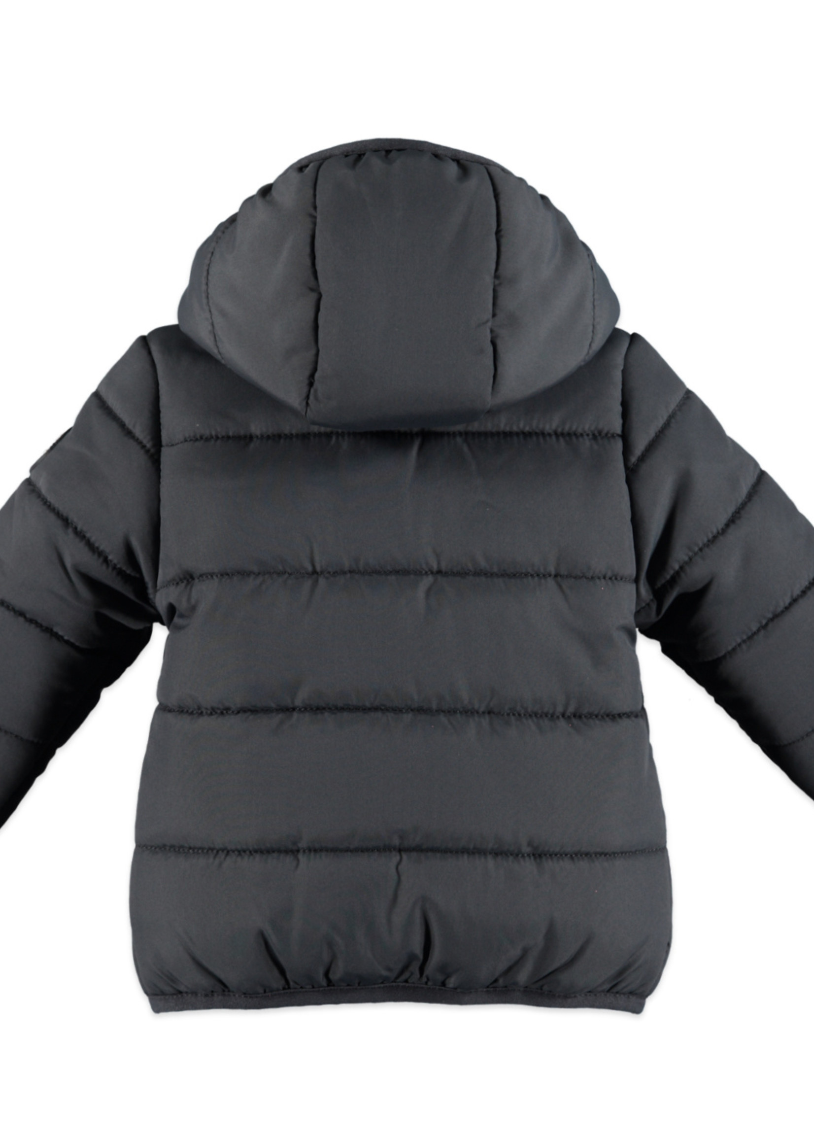 Babyface baby boys jacket/dark grey