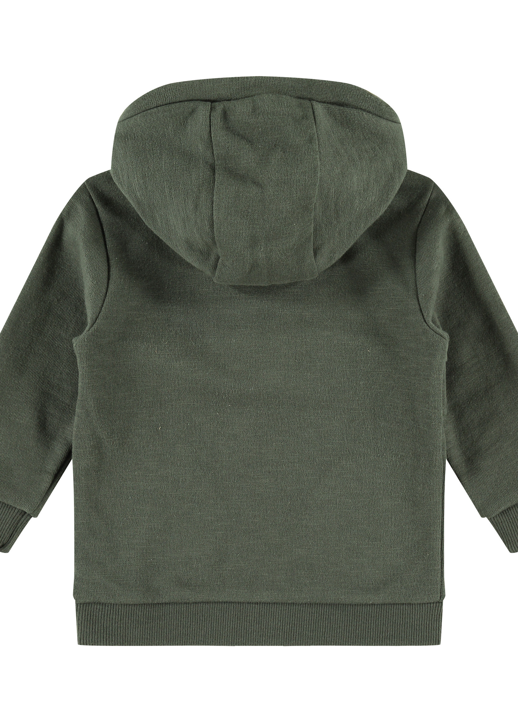 Babyface boys sweatshirt, dark green, BBE21407451