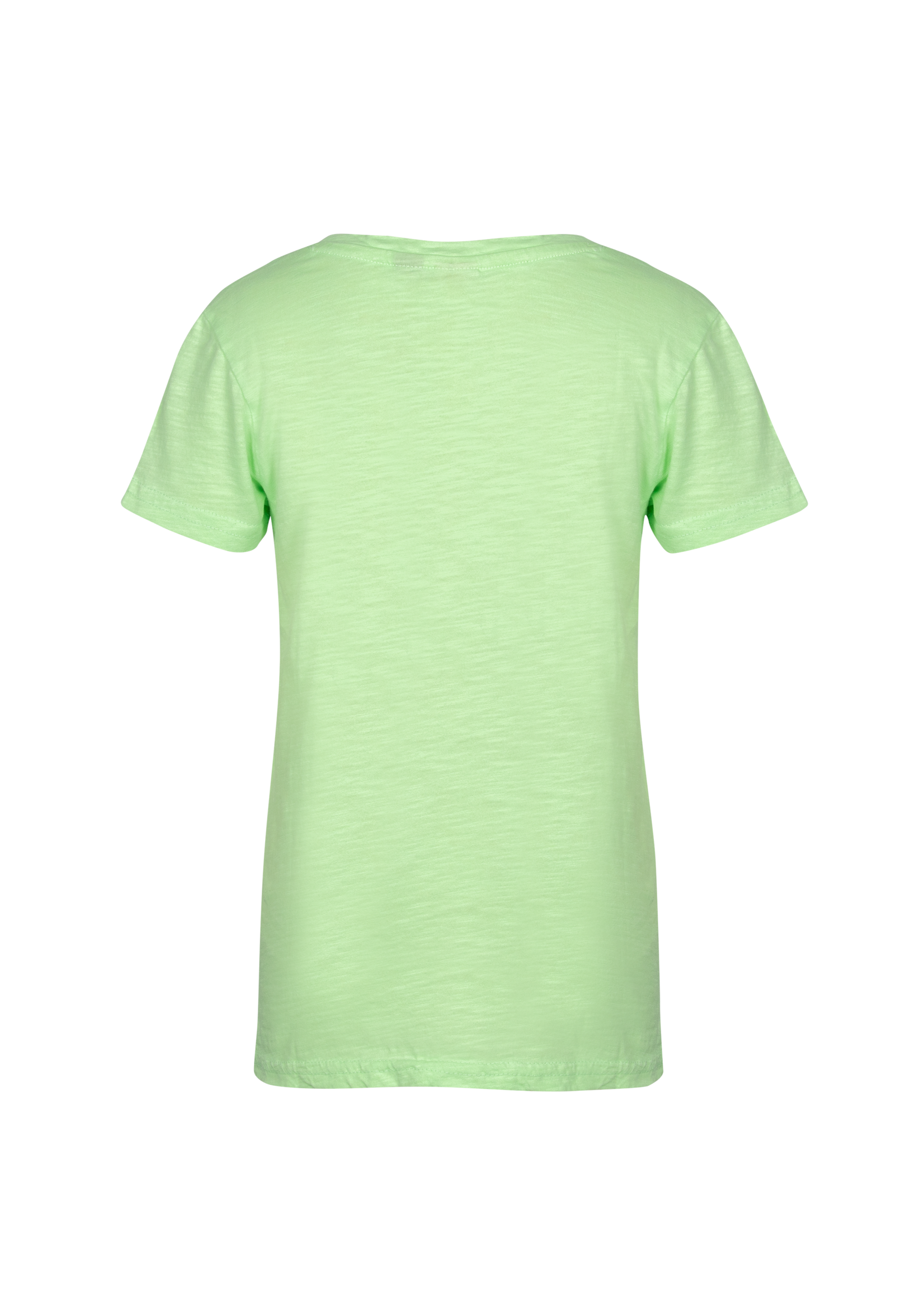 Dutch dream denim THAMANI . T-shirt green with logo