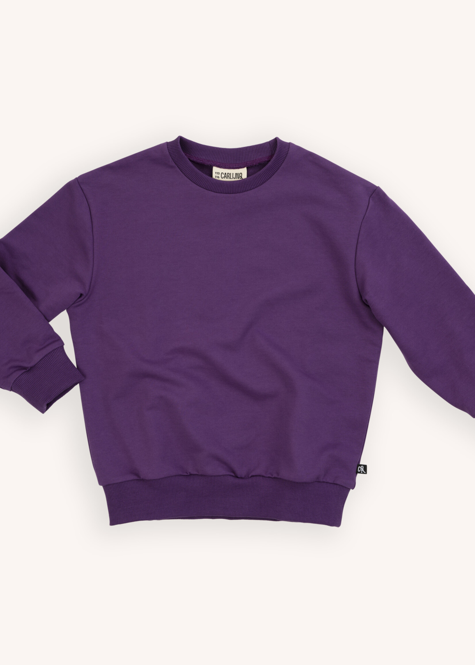 CarlijnQ Dahlia - sweater with print